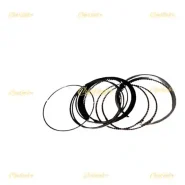 5281-رینگ-3C-استاندارد-110